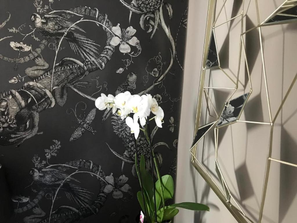 Lippi 42 Single Room's In With Garden * Milán